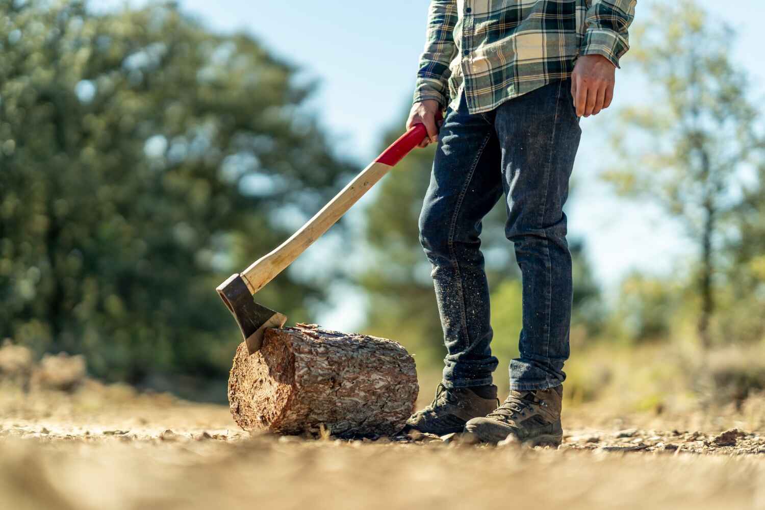 Dead Tree Removal in Forsyth, MO